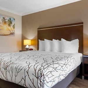 Großes Zimmer mit Kingsize-Bett